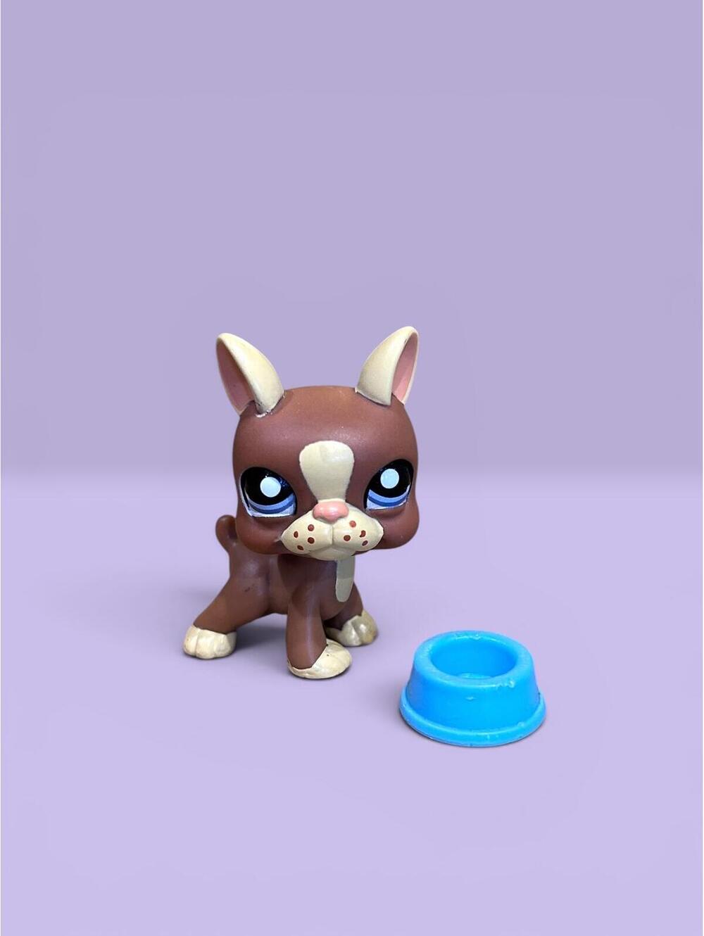 Littlest Pet Shop LPS Boston Terrier #1789 with Bowl Accessory